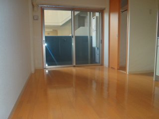 Living and room. Western style room