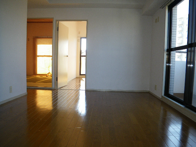 Living and room. Living (from the kitchen side