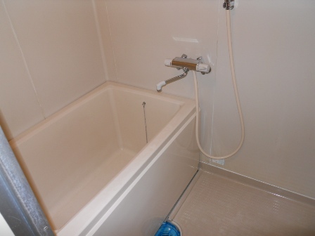 Bath. Bathroom (bath toilet by type