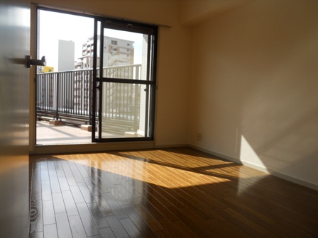 Other room space. Western style room