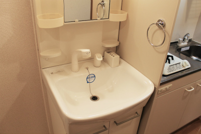 Washroom. Shampoo dresser