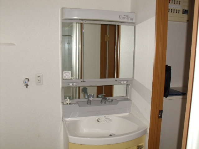 Washroom. Bathroom Vanity