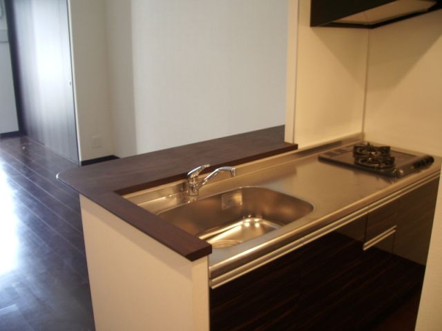 Kitchen. Counter kitchen