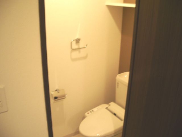 Toilet. Western-style toilet