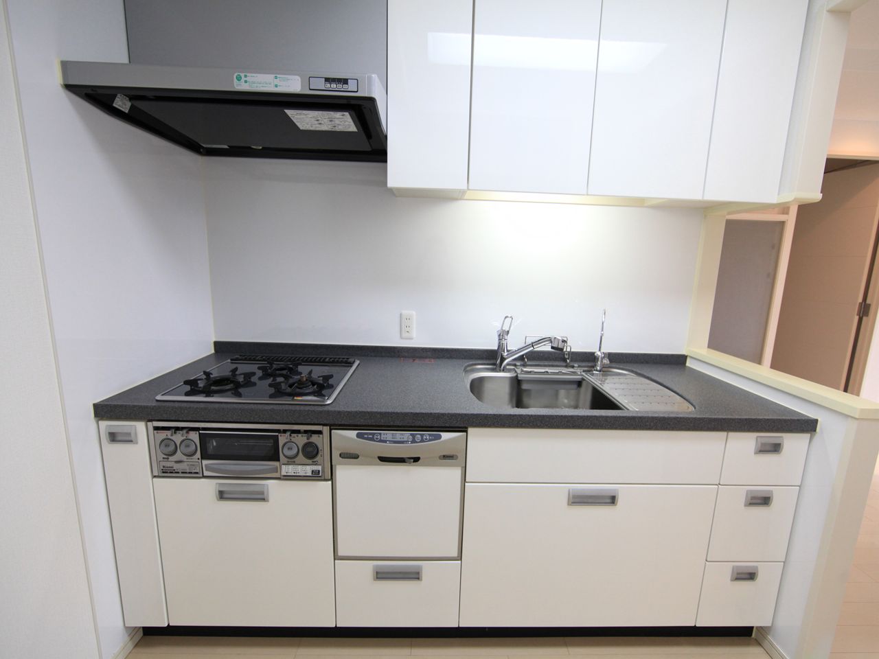 Kitchen. System kitchen (gas three-necked) grill Dishwasher