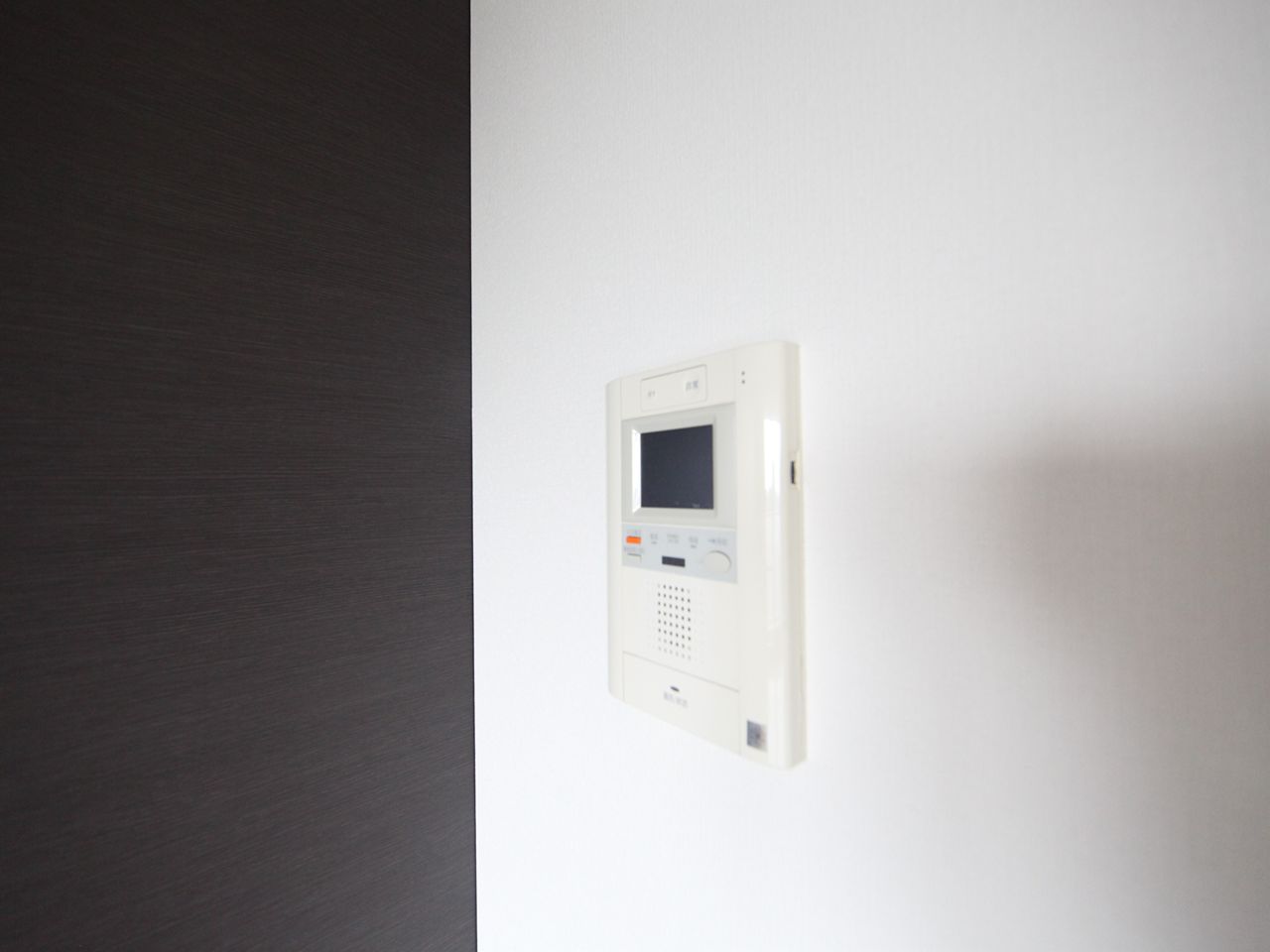 Security. Intercom with TV monitor