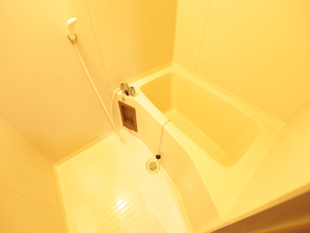 Bath. Bathroom (another bath toilet)