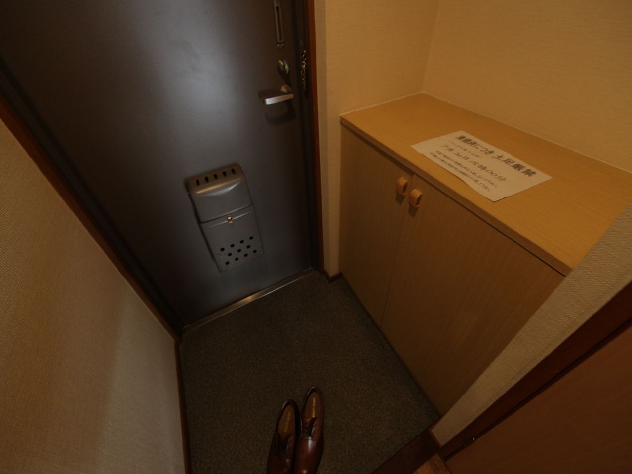 Entrance. Entrance With shoe box