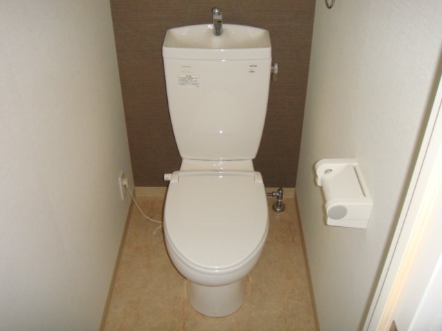 Other. Toilet