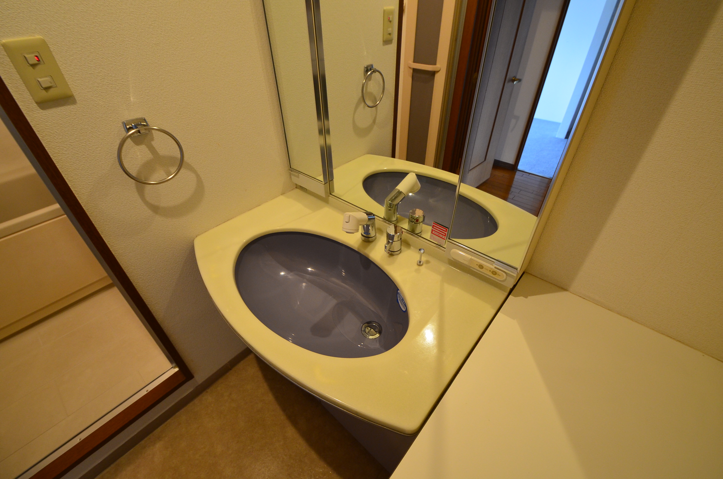 Washroom. Wash basin