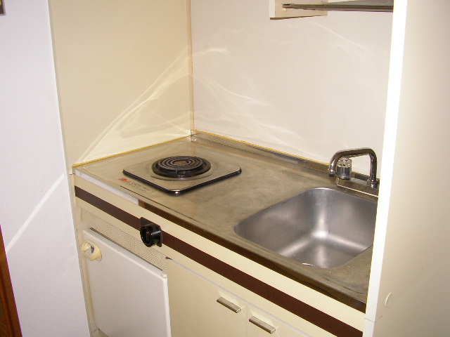 Kitchen. 1-neck electric stove