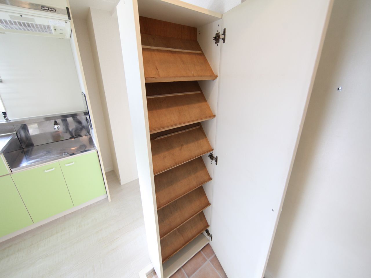 Entrance. Entrance Shoes with a box (storage rich have)