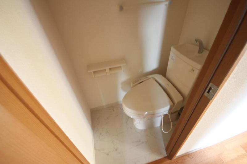 Toilet. Shower toilet