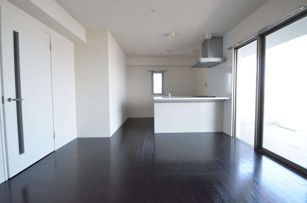 Living and room. Living