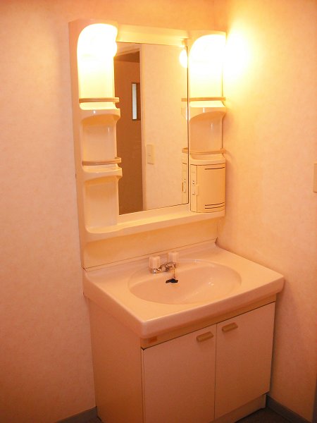 Washroom. Wash basin