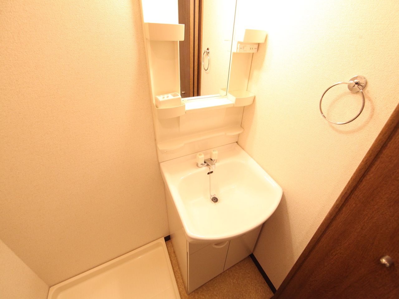 Washroom. Dressing room Independent washbasin