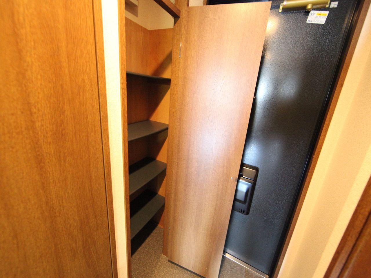 Entrance. Entrance Shoes with a box (storage rich have)