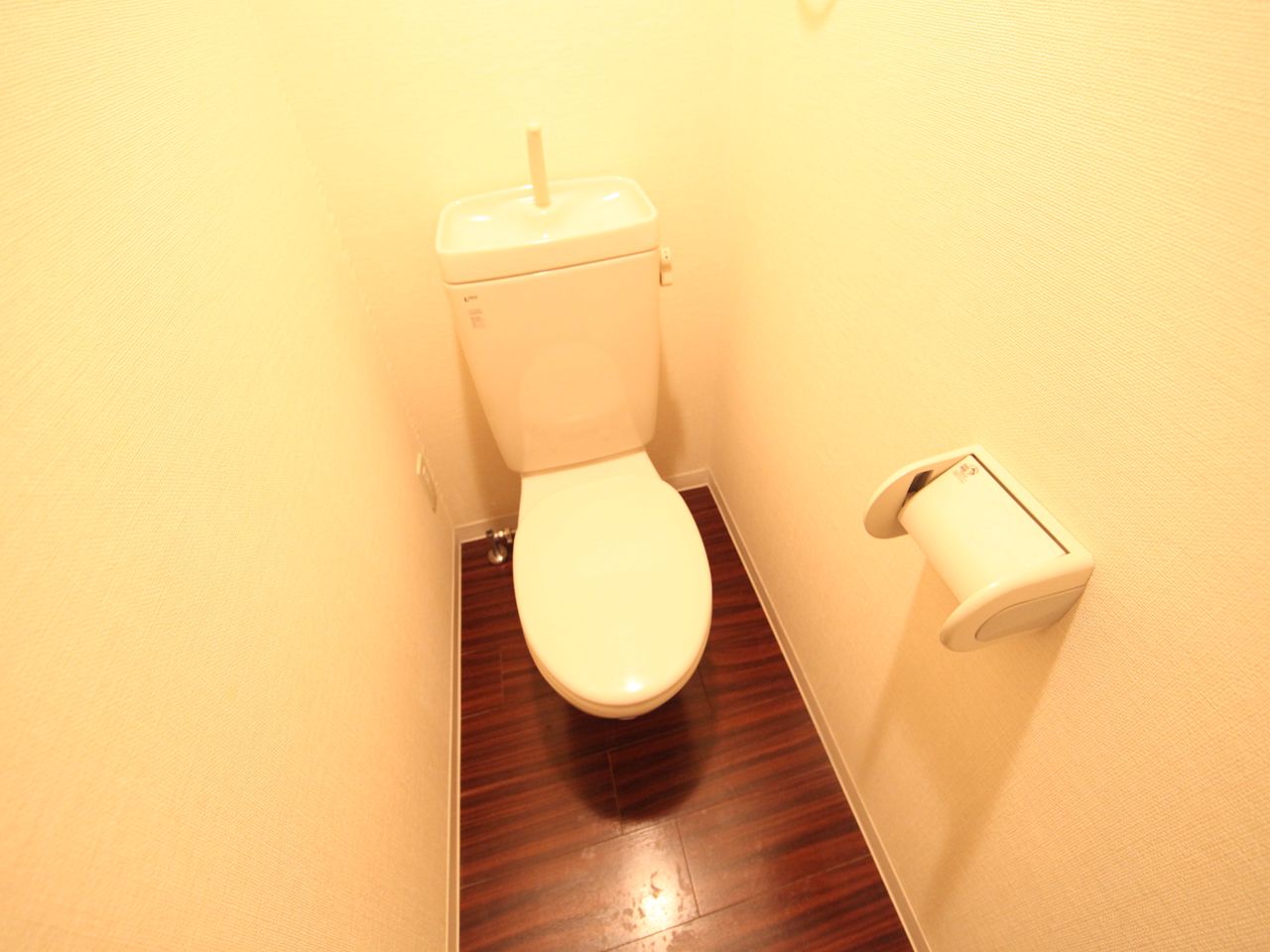 Toilet. Warm water washing toilet seat mounting Allowed toilet