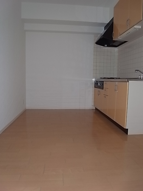 Kitchen. Spacious DK!