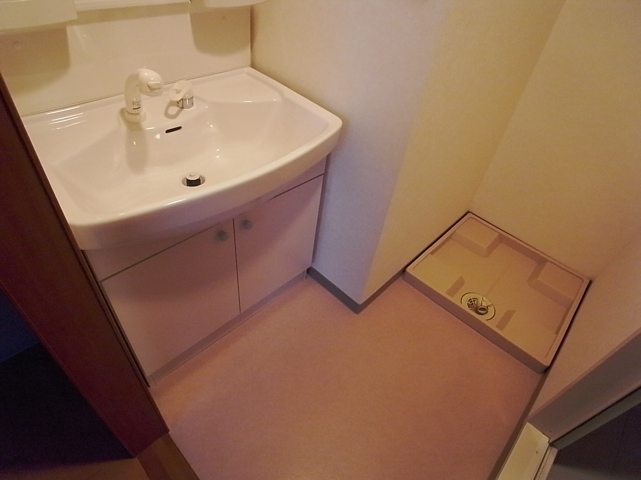 Washroom. Dressing room Independent washbasin (with shampoo dresser)