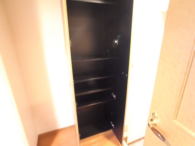 Entrance. With cupboard