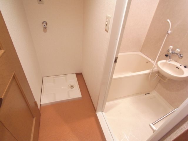 Other room space. Laundry Area