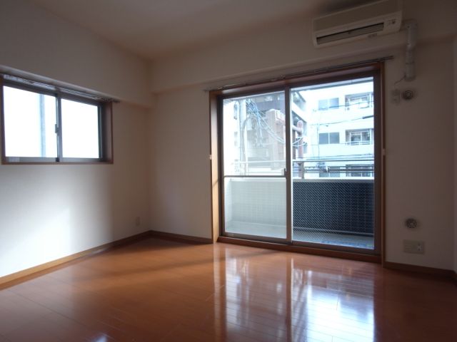 Living and room. South-facing day is good