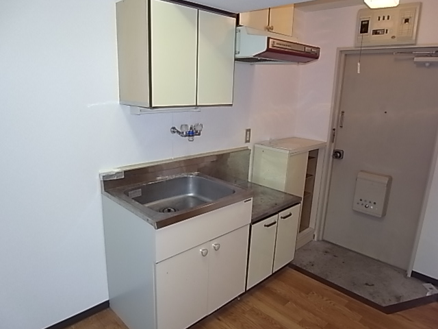 Kitchen. All is electrification!