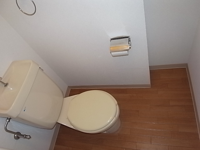 Toilet. bath, Toilet Separate!