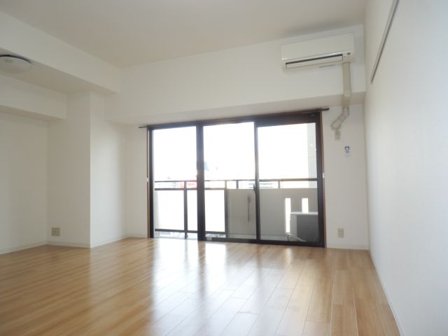 Living and room. Bright room.