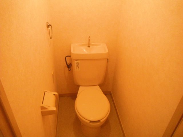 Toilet. Toilet