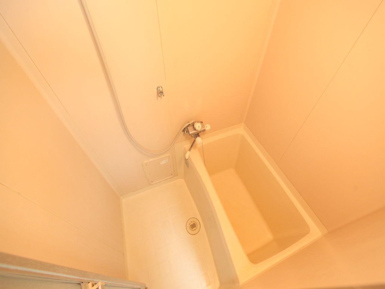 Bath. Bathroom (another bath toilet)