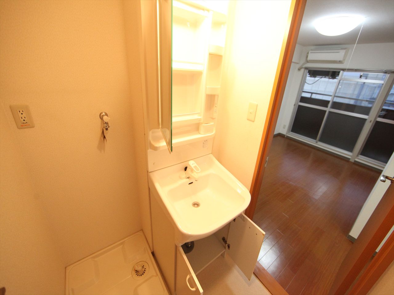 Washroom. Dressing room Separate vanity (with shampoo dresser)