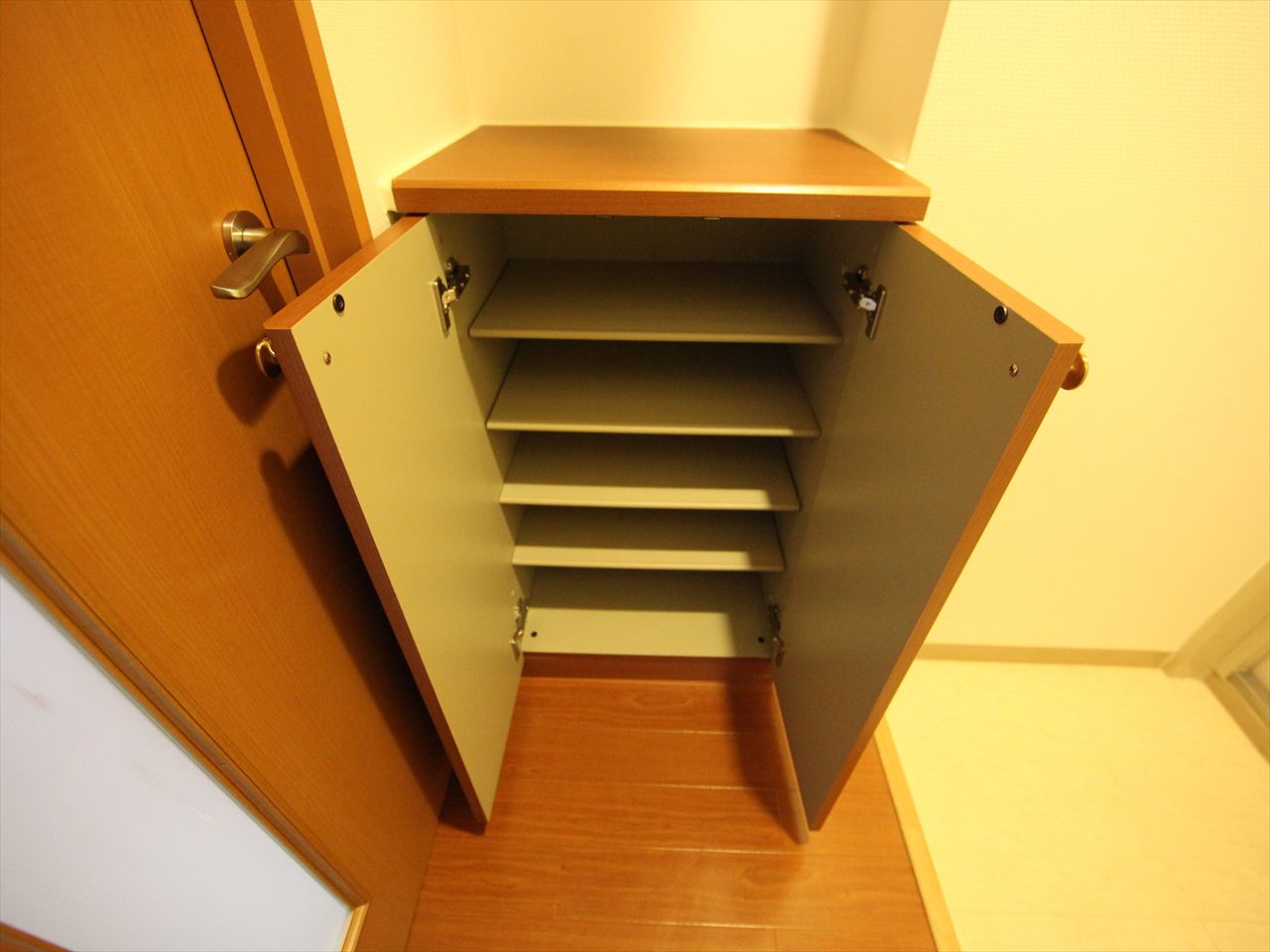 Entrance. Entrance Shoe box (storage rich have)