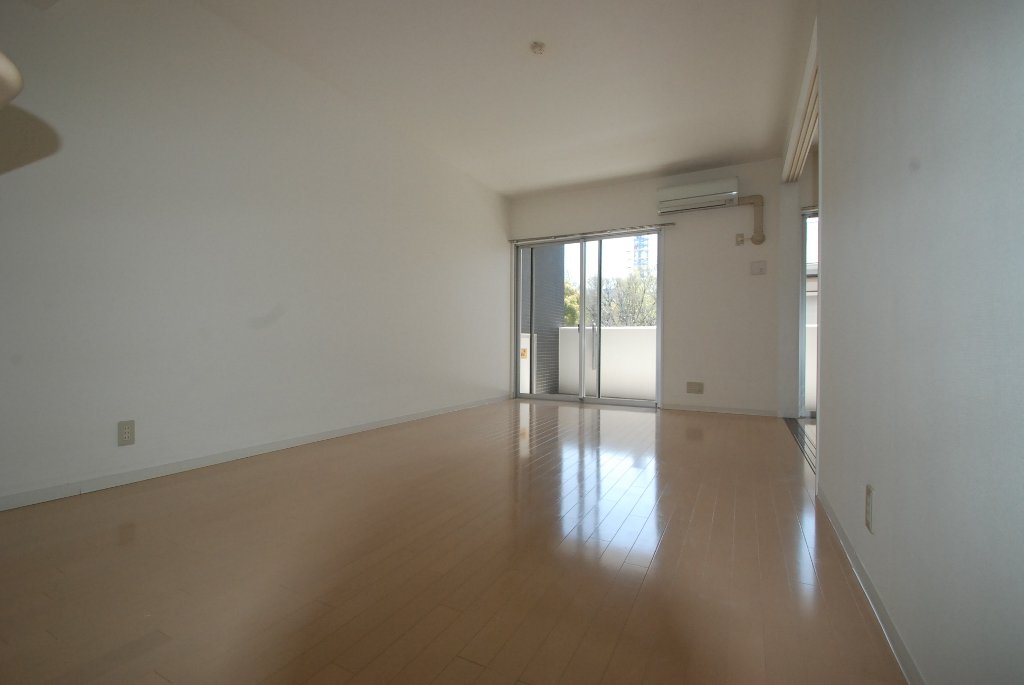 Living and room. Living