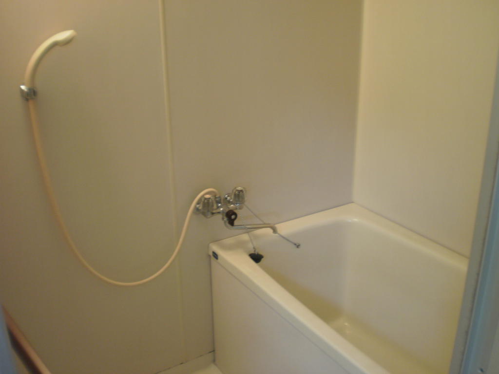 Bath. Spacious bathtub