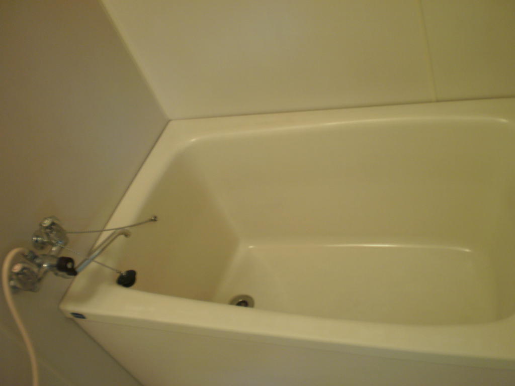 Bath. Spacious bathtub