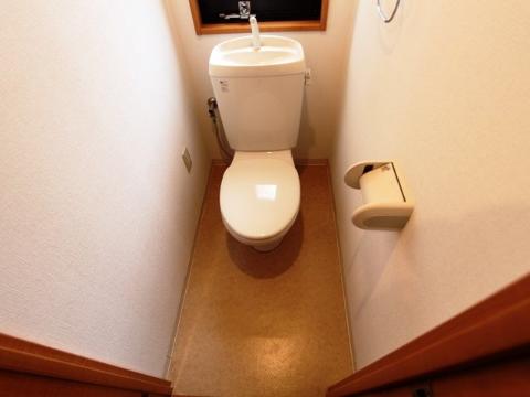 Toilet. Toilet