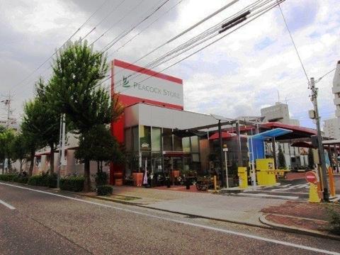 Other. 650m until Peacock store Chiyoda shop (Other)