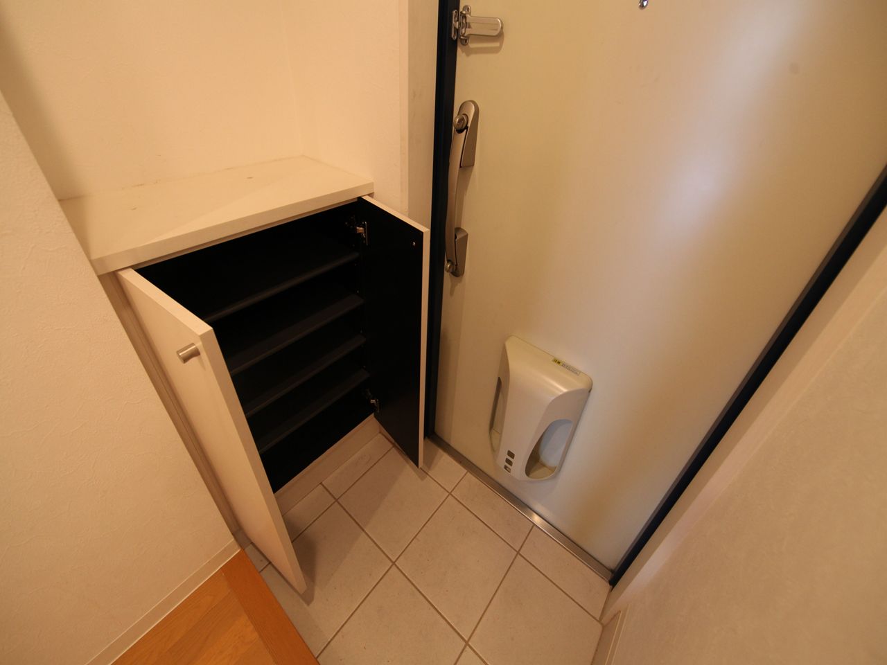 Entrance. Entrance With shoe box