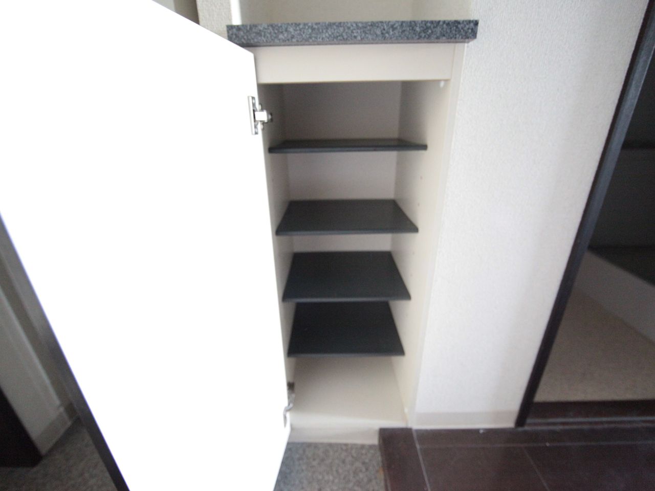 Entrance. Entrance With cupboard