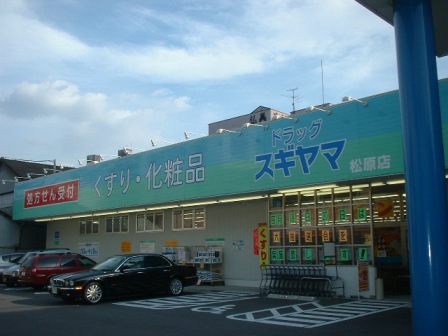 Dorakkusutoa. Drag Sugiyama (drugstore) to 200m