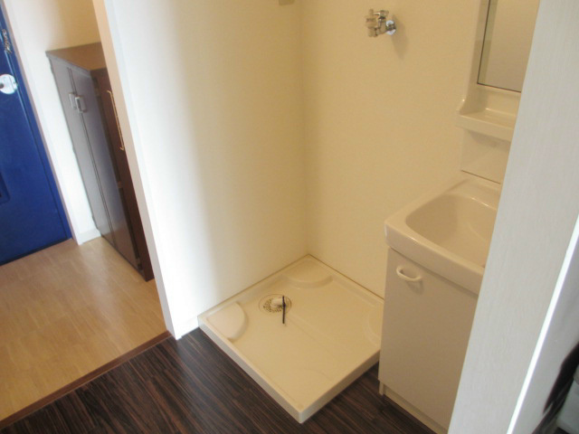 Washroom. Indoor Laundry Storage