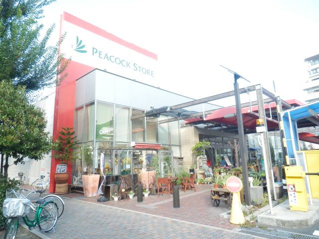 Supermarket. PEACOCK 520m until STORE (super)