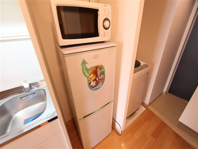 Other. You can refrigerator range available