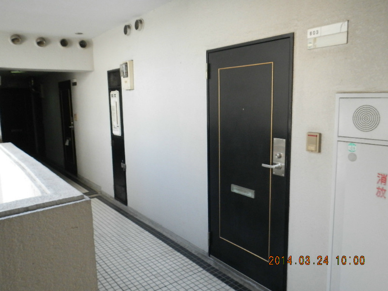 Entrance. Entrance door