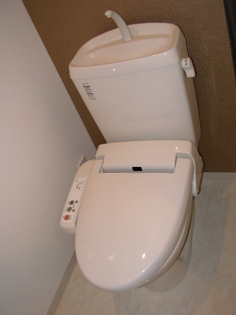 Toilet. Warm water washing toilet seat