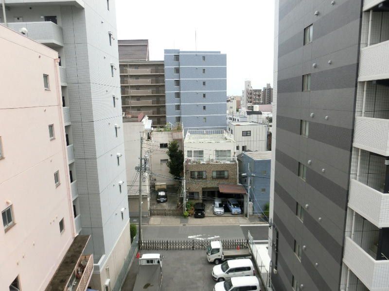 View. The view from the veranda