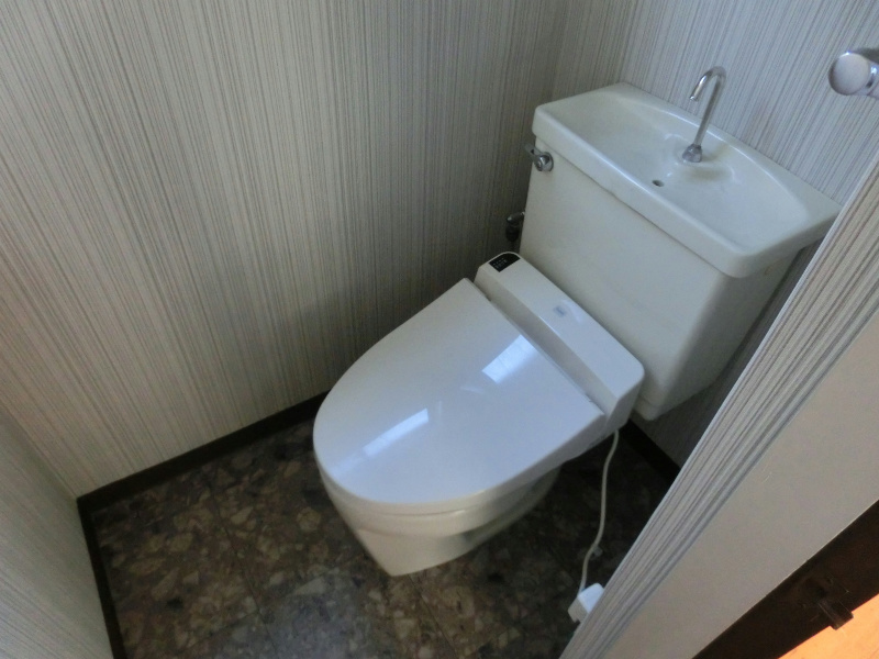 Toilet. Heating washing toilet seat