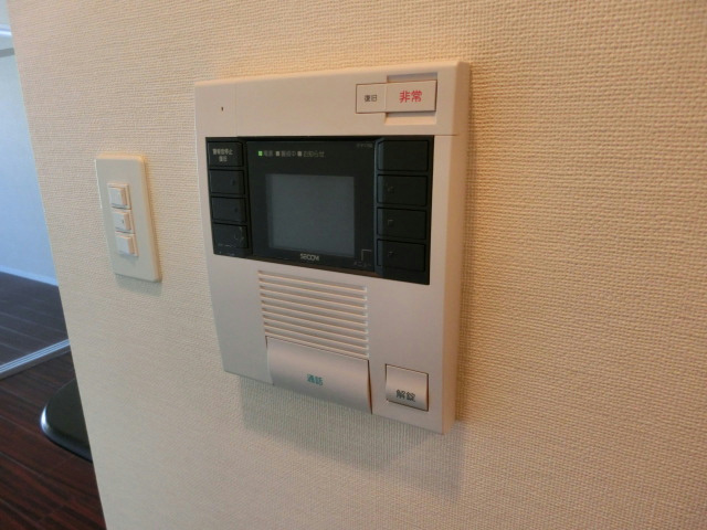 Security. Monitor Hong